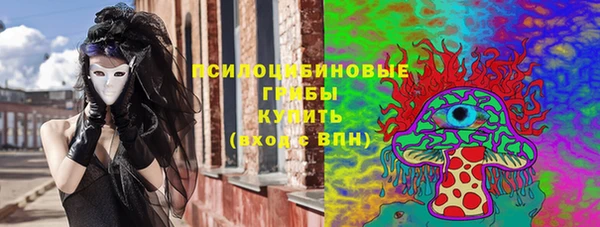 прущие грибы Алзамай