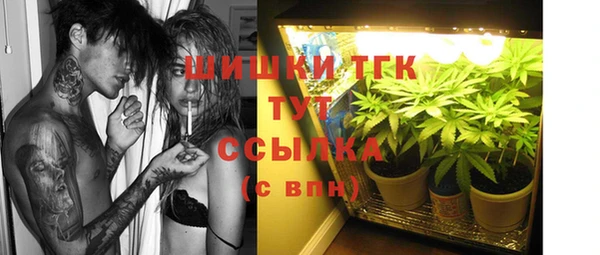 прущие грибы Абдулино