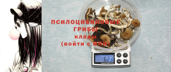 прущие грибы Абдулино