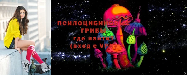 прущие грибы Абдулино