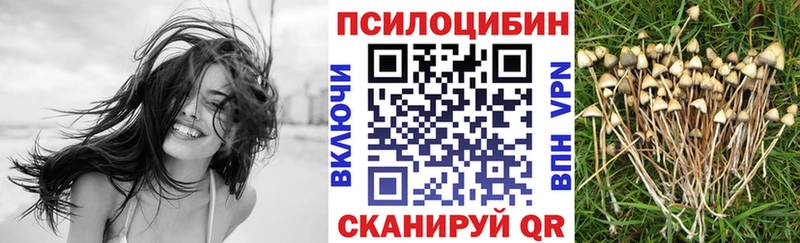 мега зеркало  Тамбов  Галлюциногенные грибы Psilocybine cubensis 