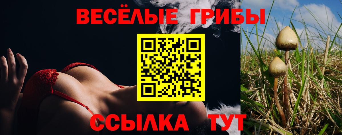 Галлюциногенные грибы Magic Shrooms  Вход с VPN  Тамбов 