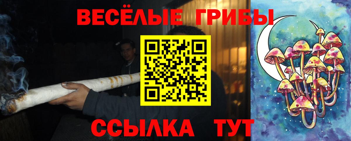 Псилоцибиновые грибы Psilocybine cubensis Тамбов
